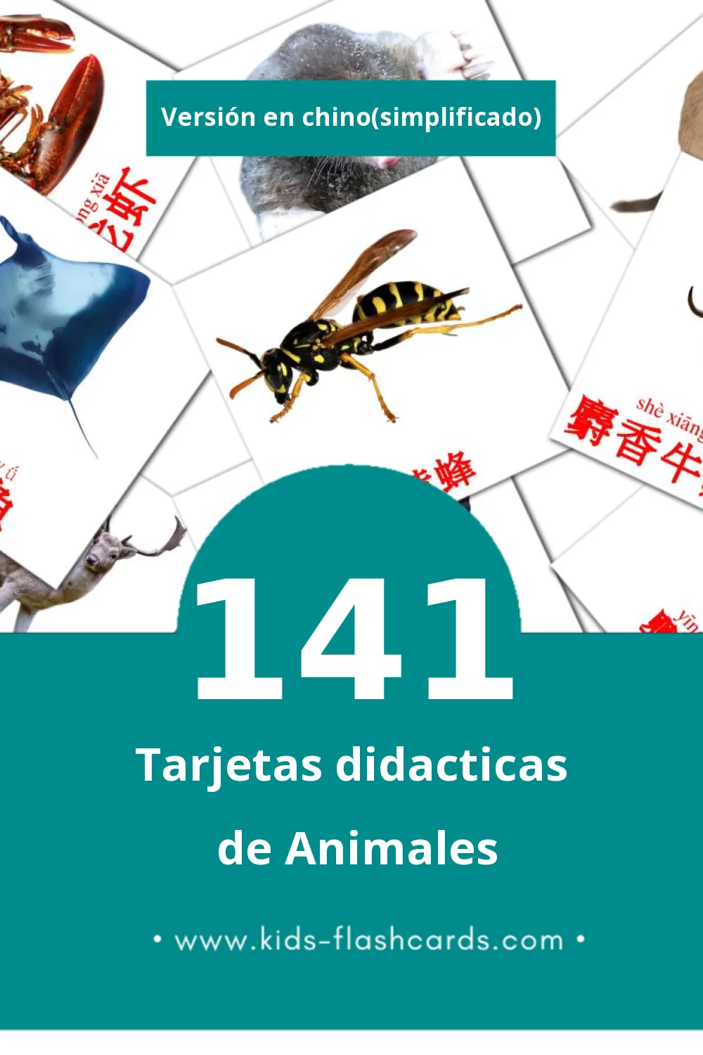 Tarjetas visuales de 动物 para niños pequeños (141 tarjetas en Chino(simplificado))