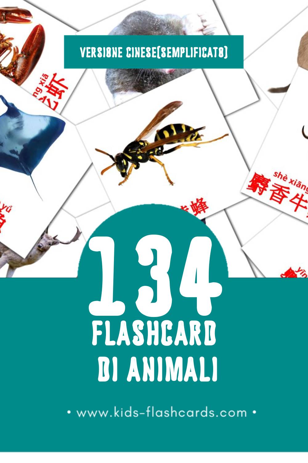 Schede visive sugli 动物 per bambini (134 schede in Cinese(semplificato))