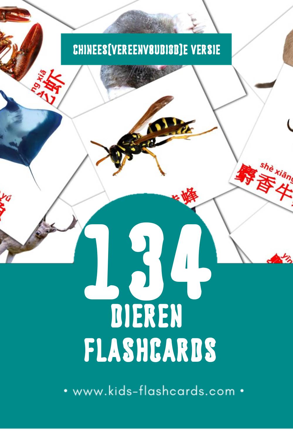Visuele 动物 Flashcards voor Kleuters (134 kaarten in het Chinees(vereenvoudigd))