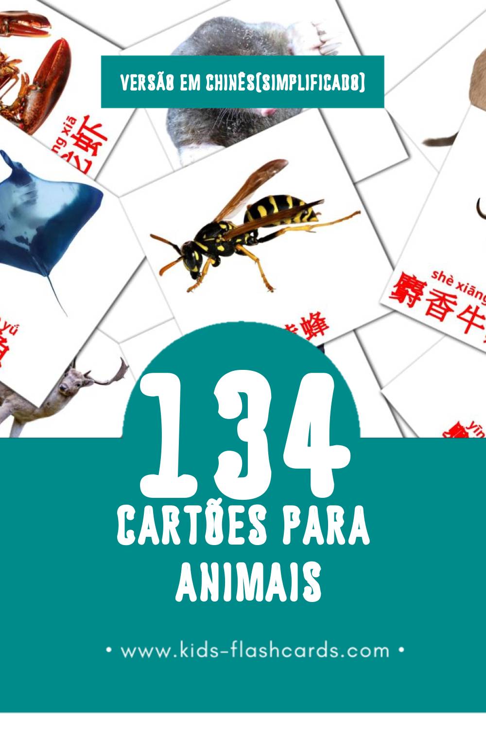 Flashcards de 动物 Visuais para Toddlers (134 cartões em Chinês(simplificado))