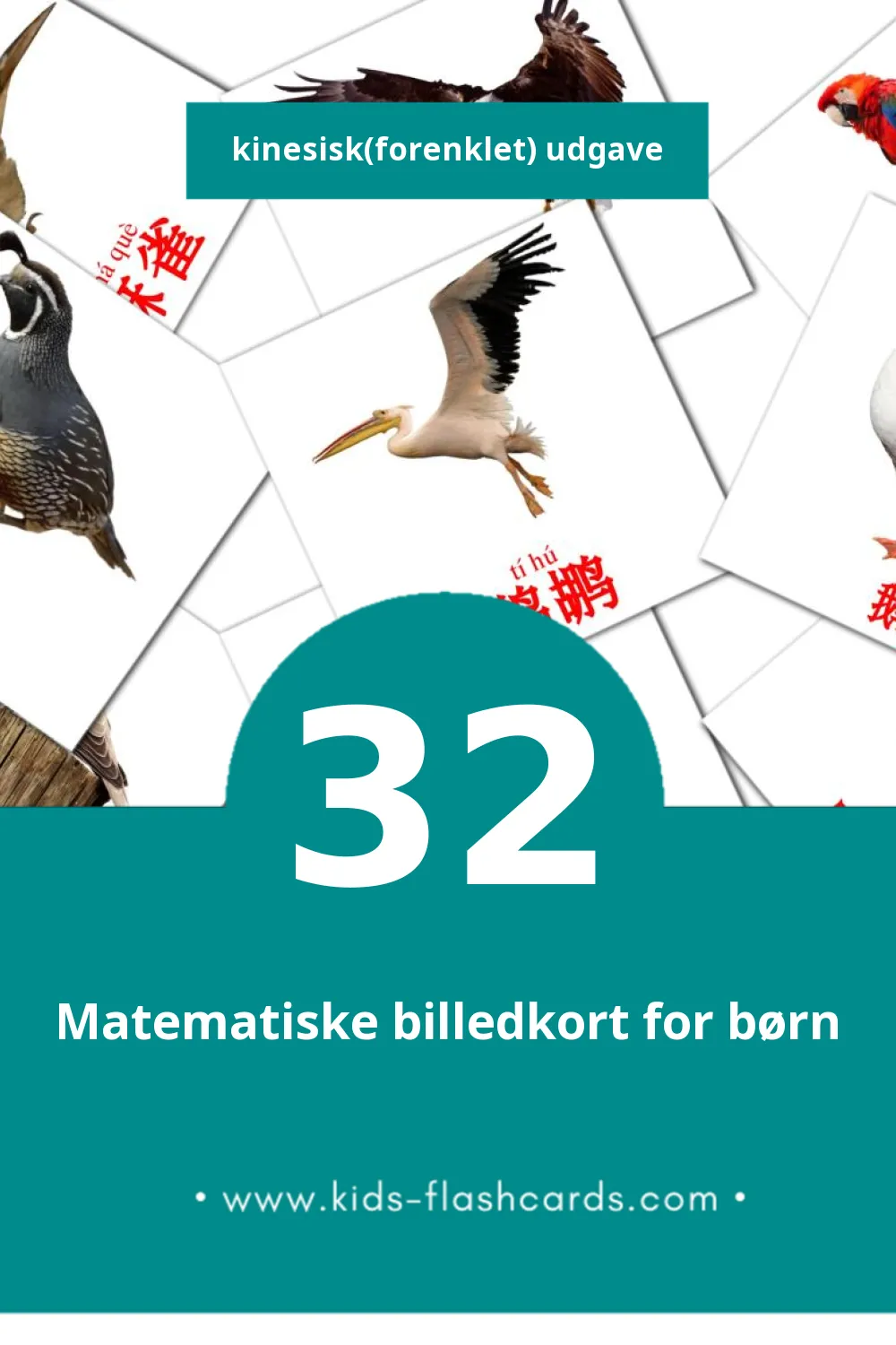 Visuelle billedkort for børn om 鸟类 til småbørn (32 kort på Kinesisk(forenklet))