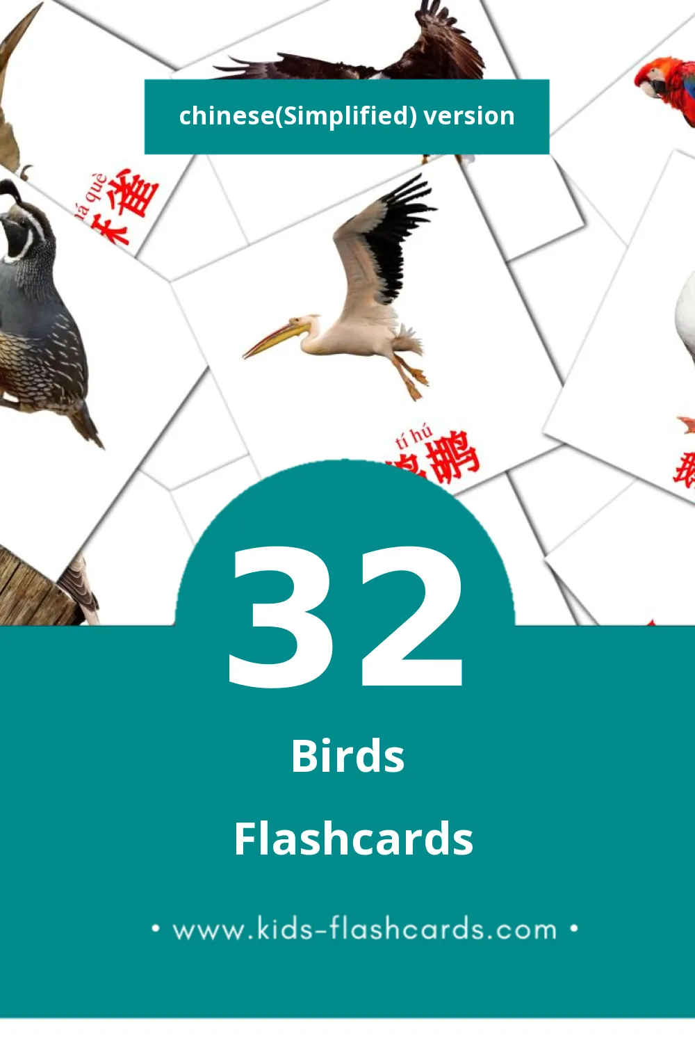 Visual 鸟类 Flashcards for Toddlers (32 cards in Chinese(Simplified))