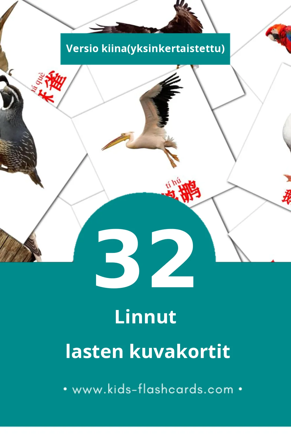 鸟类 lasten kuvakortit pikkulapsille (32 korttia Kiinaksi(yksinkertaistettu))