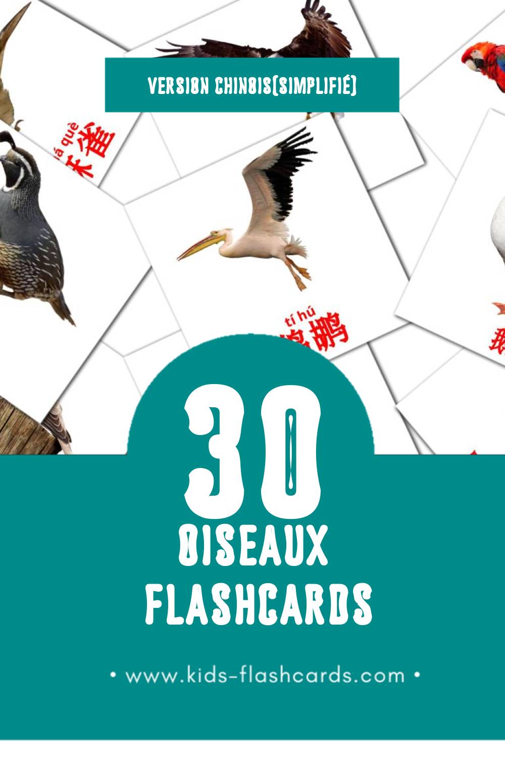 Flashcards Visual 鸟类 pour les tout-petits (30 cartes en Chinois(simplifié))