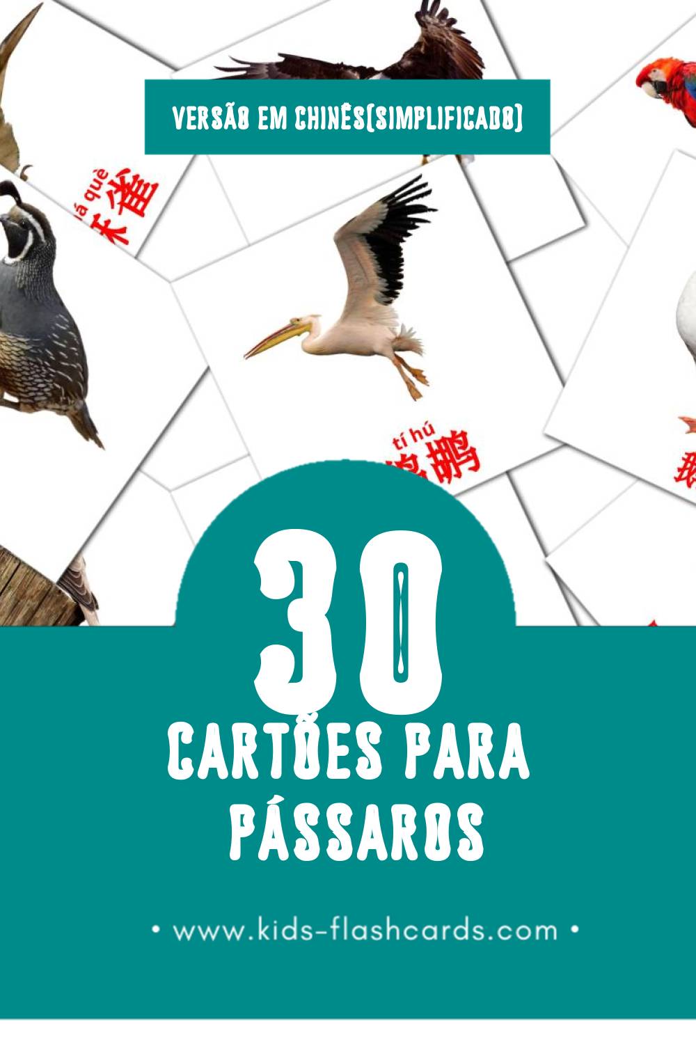 Flashcards de 鸟类 Visuais para Toddlers (30 cartões em Chinês(simplificado))