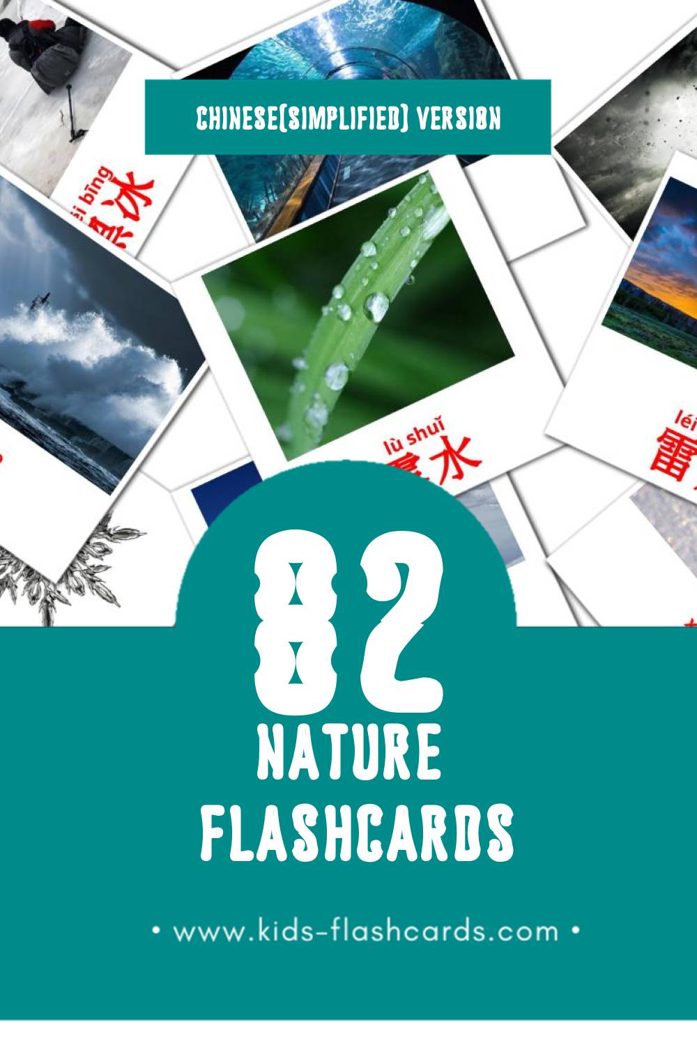 Visual 大自然 Flashcards for Toddlers (52 cards in Chinese(Simplified))