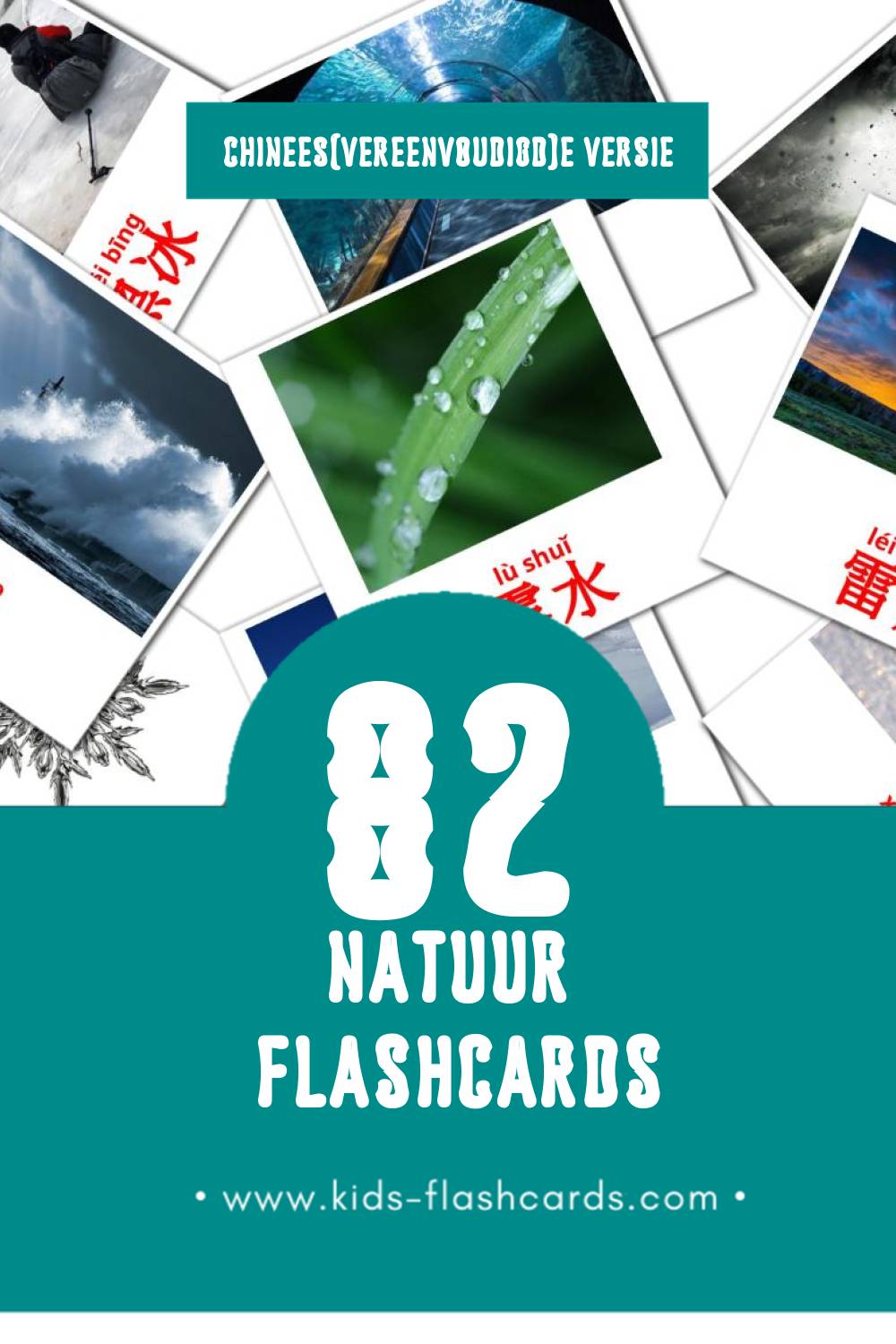Visuele 大自然 Flashcards voor Kleuters (82 kaarten in het Chinees(vereenvoudigd))