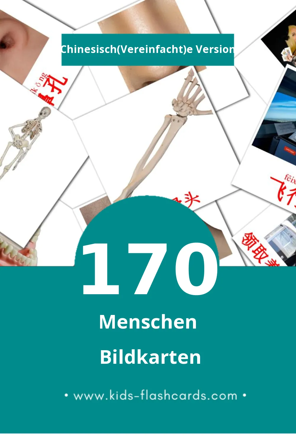 Visual 人们 Flashcards für Kleinkinder (170 Karten in Chinesisch(Vereinfacht))