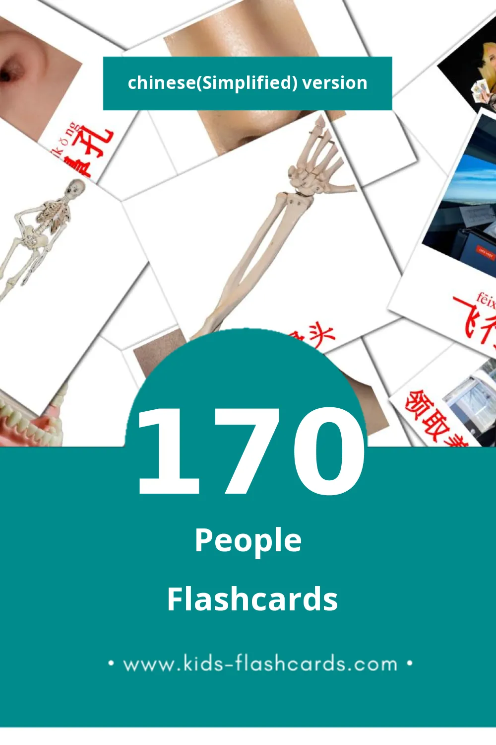 Visual 人们 Flashcards for Toddlers (170 cards in Chinese(Simplified))