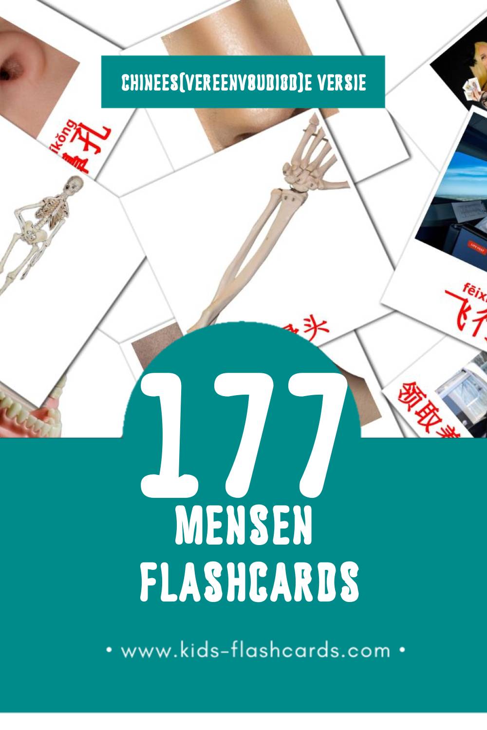 Visuele 人们 Flashcards voor Kleuters (177 kaarten in het Chinees(vereenvoudigd))