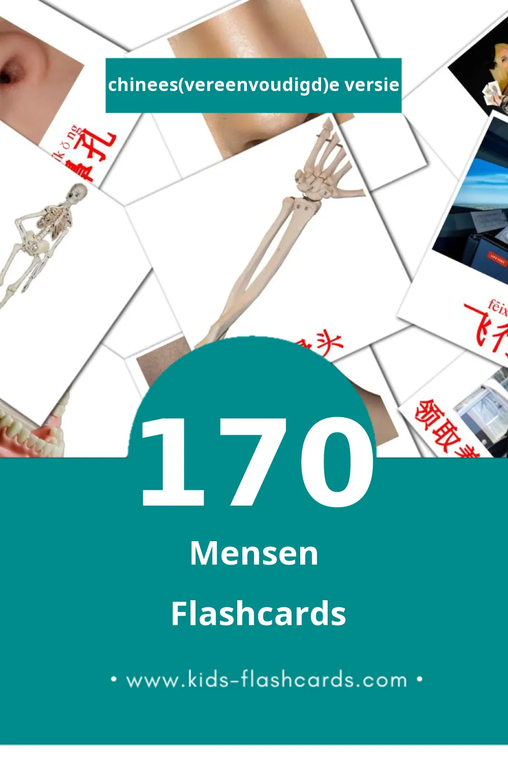 Visuele 人们 Flashcards voor Kleuters (170 kaarten in het Chinees(vereenvoudigd))