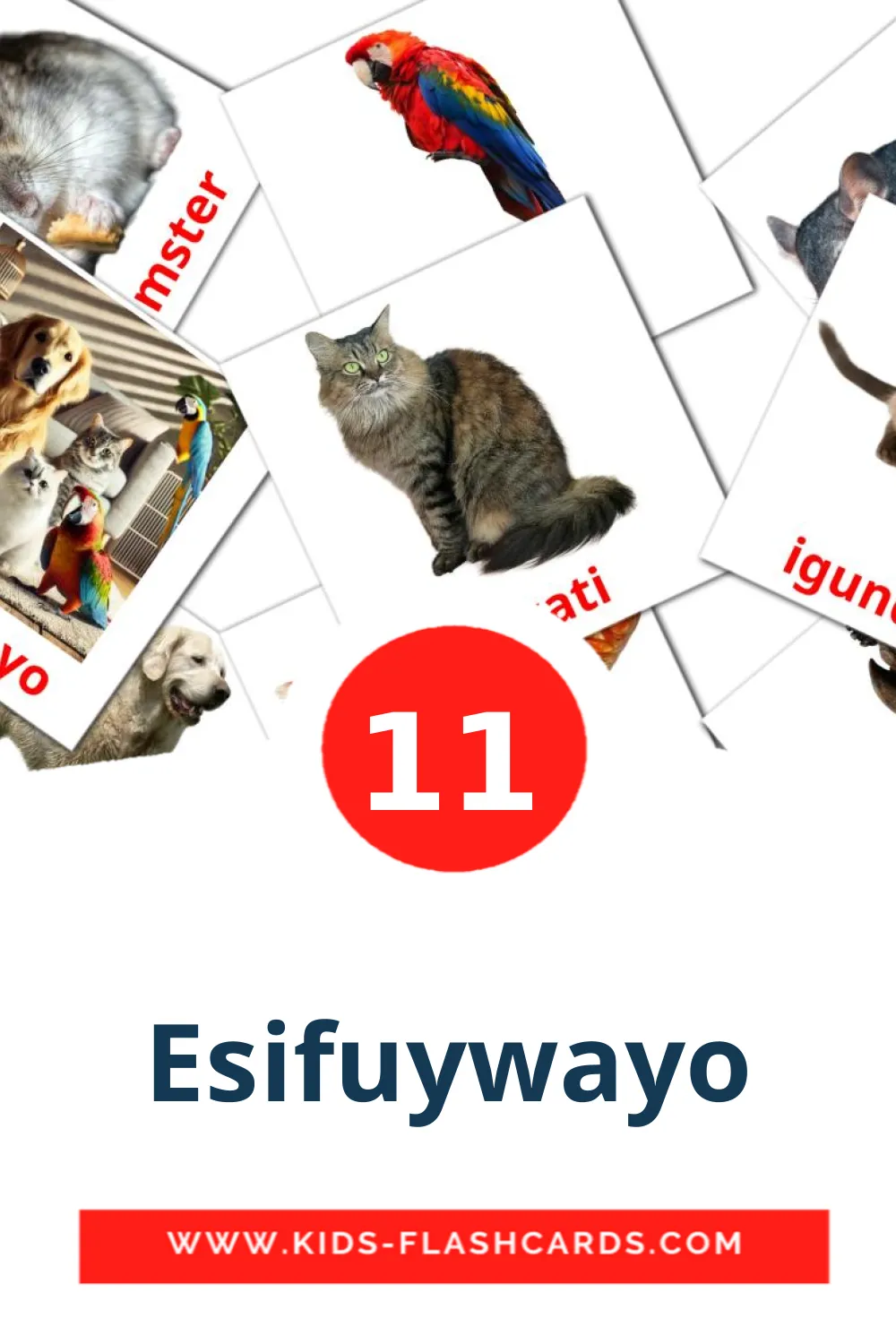 11 Esifuywayo Picture Cards for Kindergarden in zulu