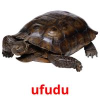 ufudu flashcards illustrate