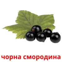 чорна смородина billedkort for børn med billeder