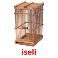 iseli picture flashcards