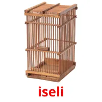 iseli picture flashcards