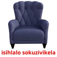 isihlalo sokuzivikela picture flashcards