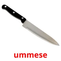 ummese Bildkarten für Kinder