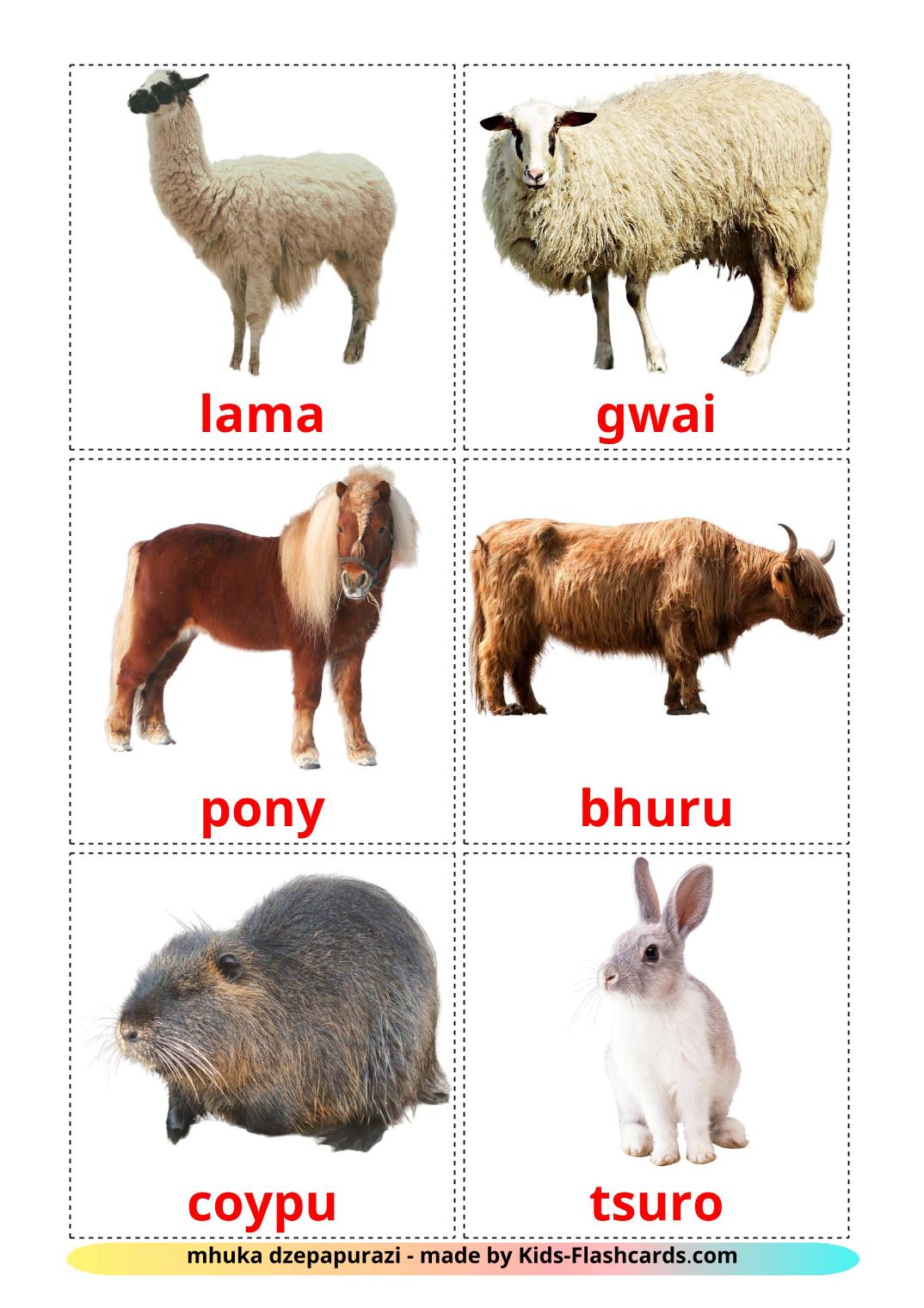 Farm animals - 15 Free Printable zulu Flashcards 
