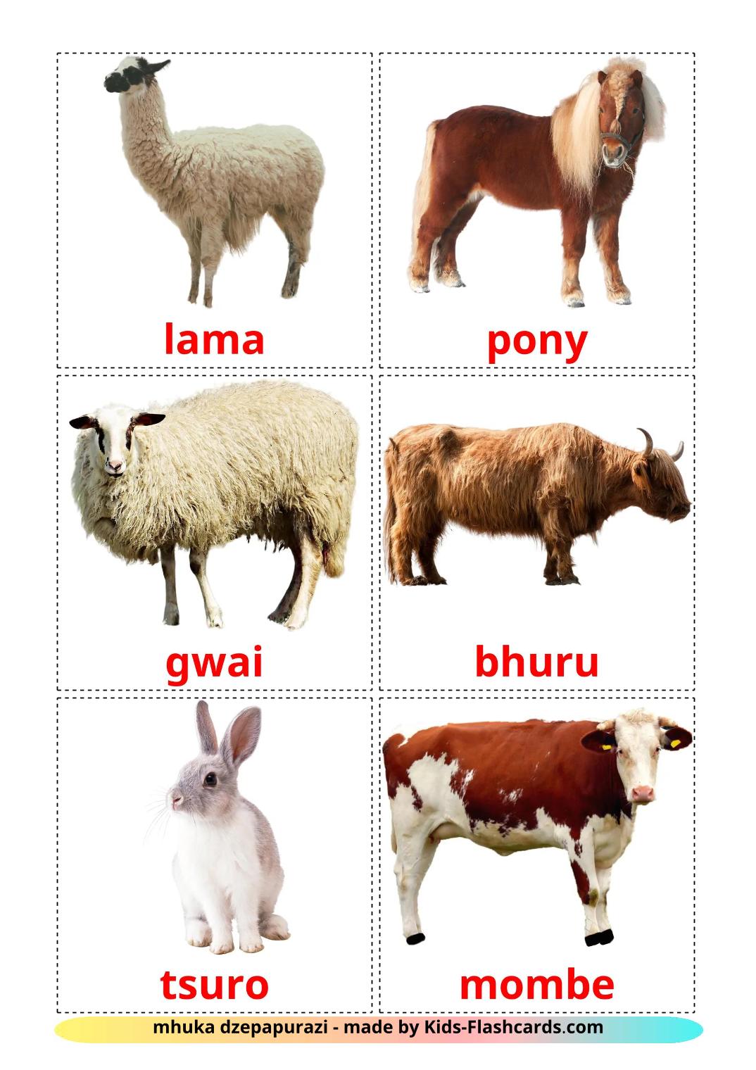 Farm animals - 16 Free Printable zulu Flashcards 