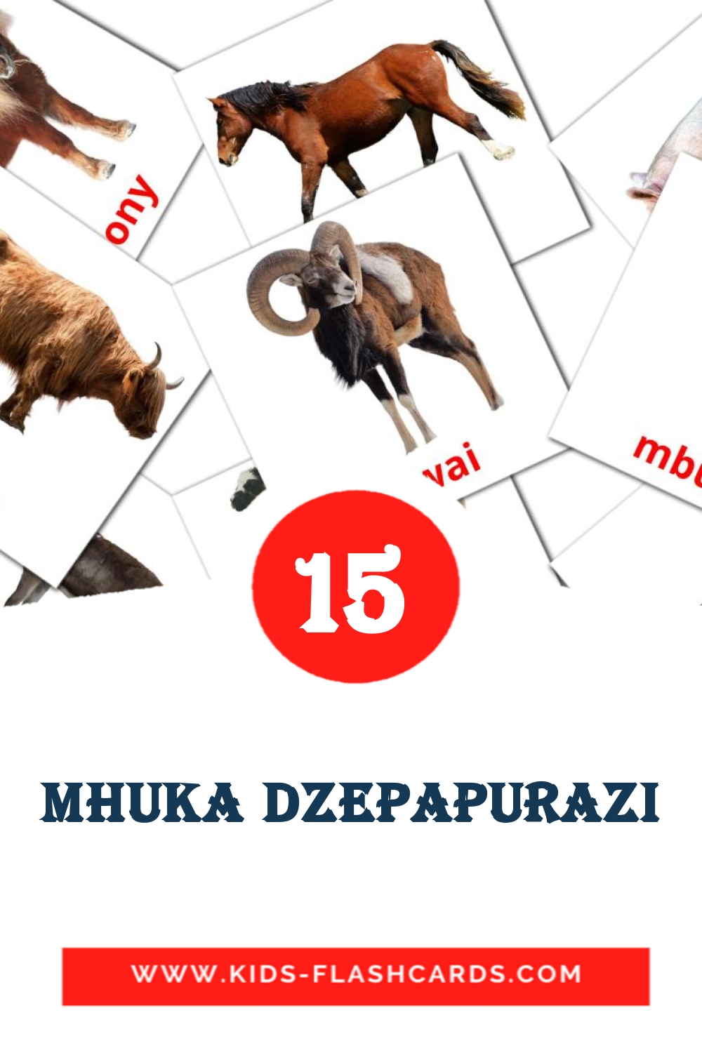 15 mhuka dzepapurazi Picture Cards for Kindergarden in zulu