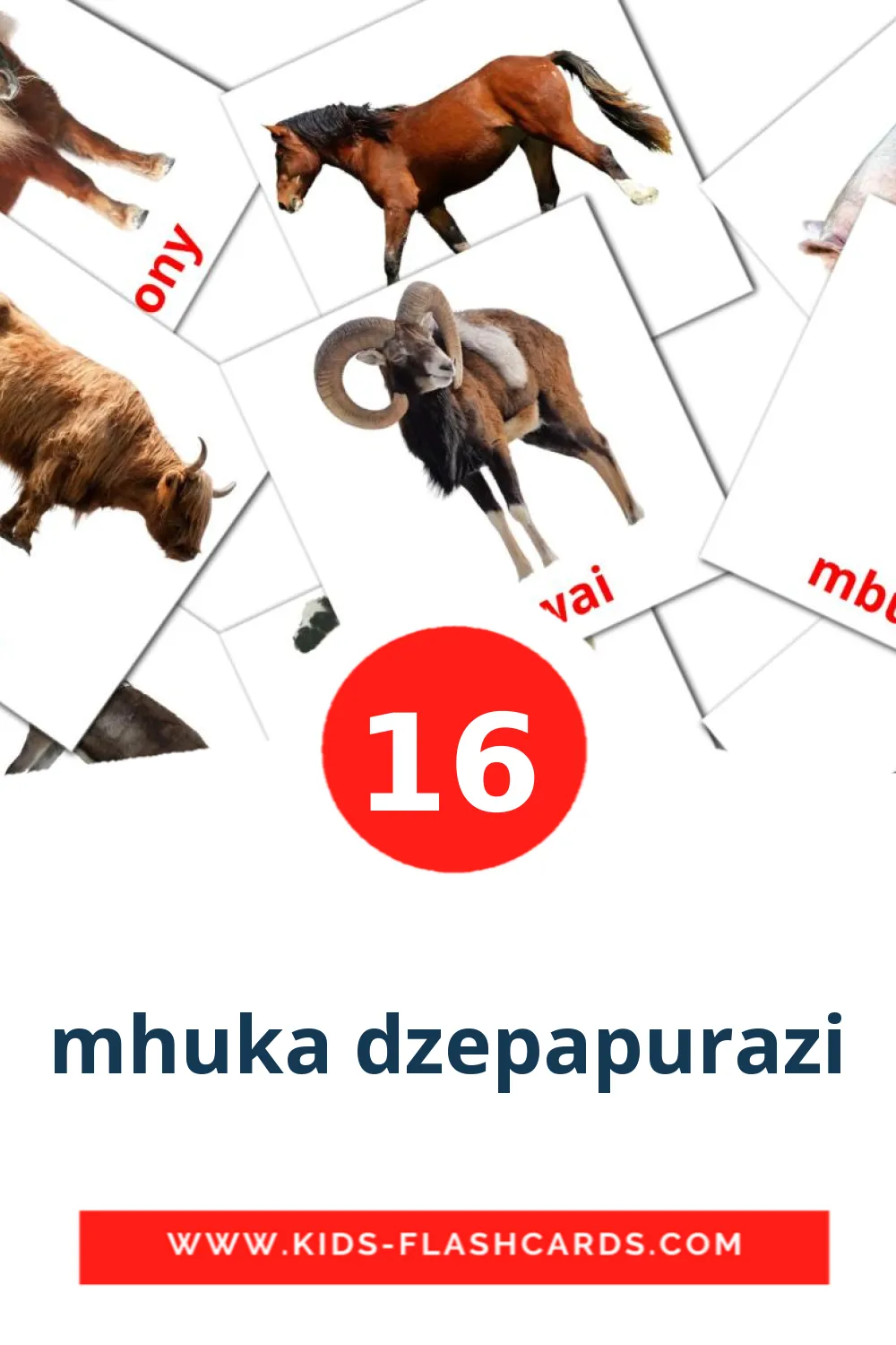 16 mhuka dzepapurazi Picture Cards for Kindergarden in zulu