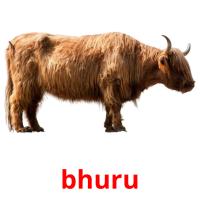 bhuru picture flashcards