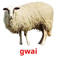 gwai picture flashcards