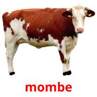 mombe card for translate
