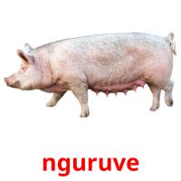 nguruve picture flashcards