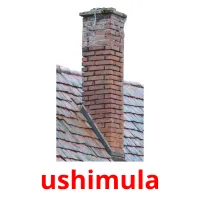 ushimula карточки энциклопедических знаний