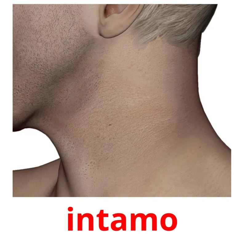 26 FREE Body Parts Flashcards in 4 PDF formats Zulu Pictures