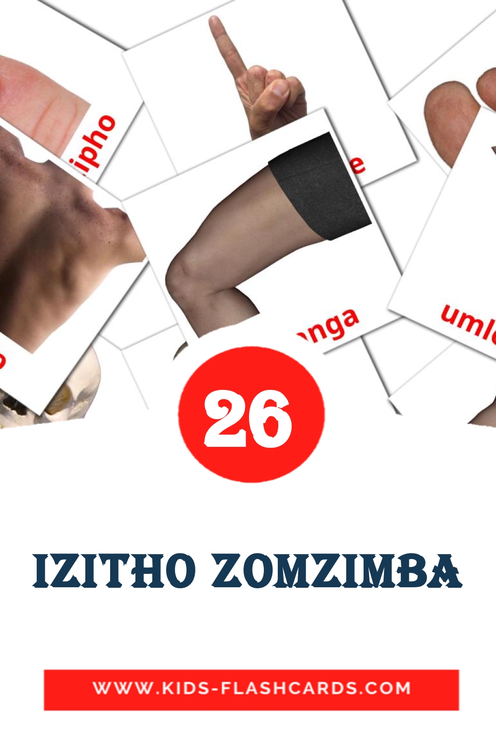 26 cartes illustrées de Izitho zomzimba pour la maternelle en zoulou
