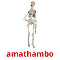 amathambo карточки энциклопедических знаний
