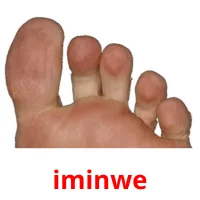 iminwe picture flashcards