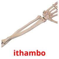 ithambo picture flashcards