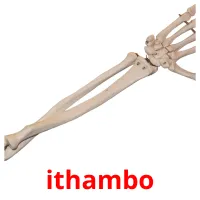 ithambo picture flashcards