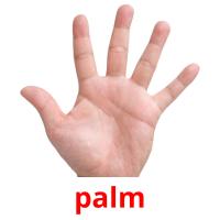 palm picture flashcards