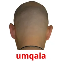 umqala picture flashcards