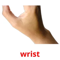 wrist picture flashcards