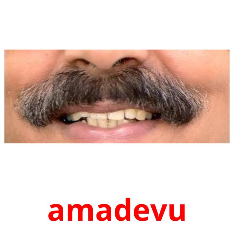 amadevu picture flashcards