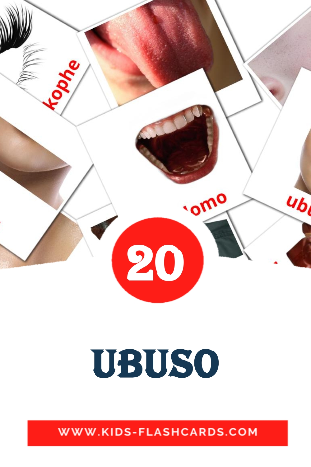 20 ubuso Picture Cards for Kindergarden in zulu
