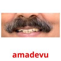 amadevu card for translate