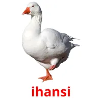 ihansi picture flashcards