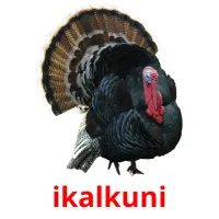 ikalkuni picture flashcards