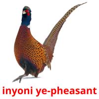 inyoni ye-pheasant Bildkarteikarten