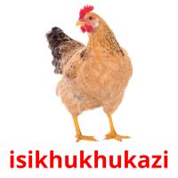 isikhukhukazi picture flashcards