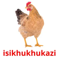 isikhukhukazi picture flashcards