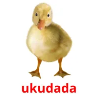 ukudada picture flashcards