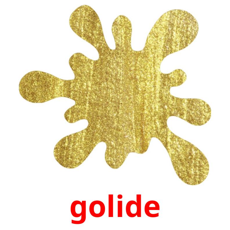 golide picture flashcards